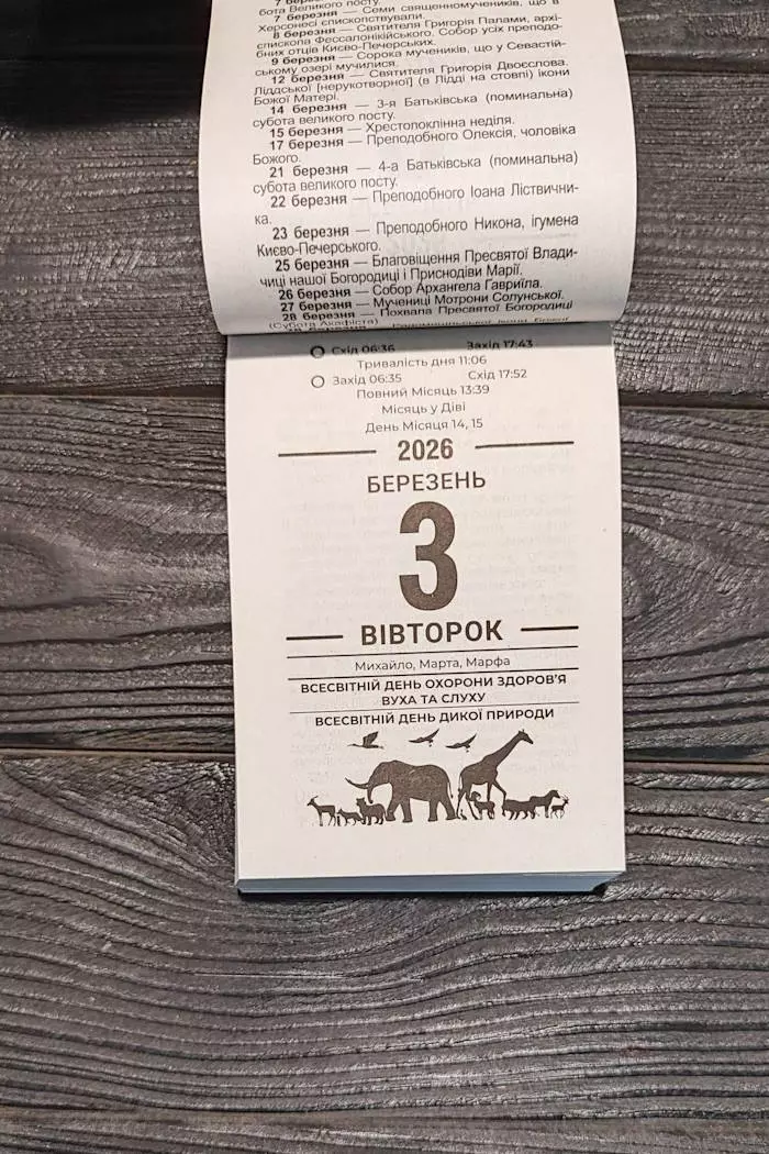 Календар 2026 Домашній порадник 3
