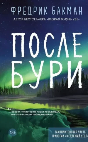 Книга Бакман После бури