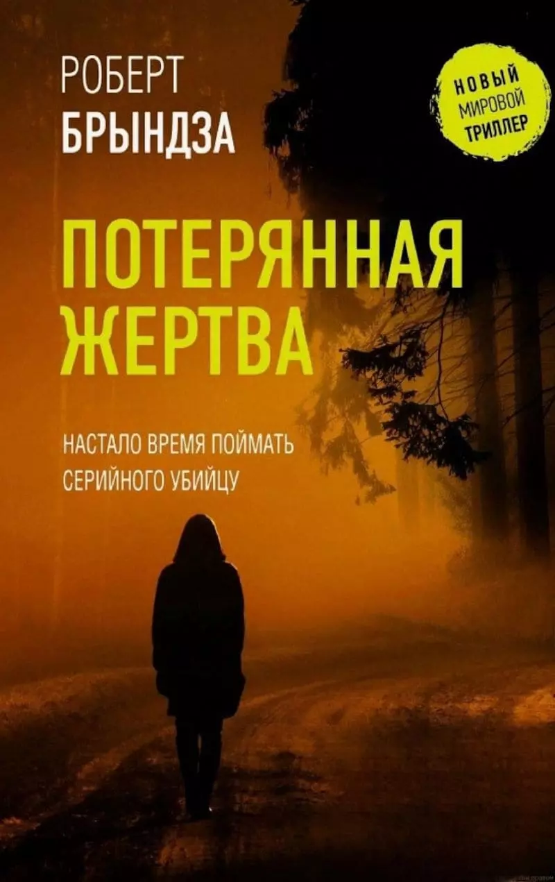 Книга Брындза Потерянная жертва